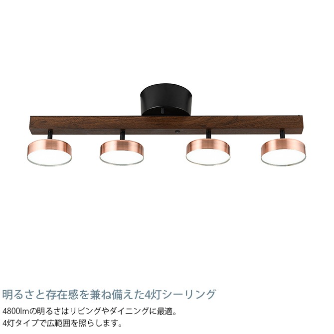 Another Garden ʥǥ Rumani ޡ 4󥰥饤