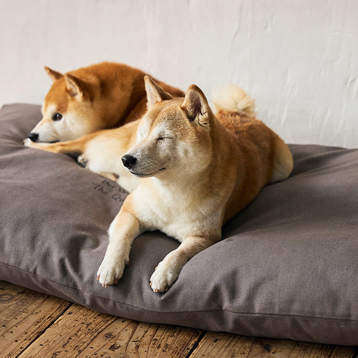 MANDARINE BROTHERS �ޥ�����֥饶���� ���������٥åȡ��顼��