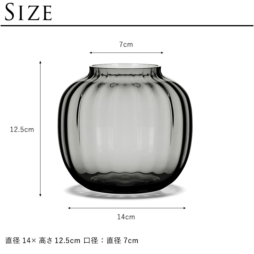 ���饹���� �ۥ�६���� Primula �١��� ���⡼�� �⤵12.5cm   ���� �̲� ����ƥꥢ �ե��١��� ���� ����ץ� �������