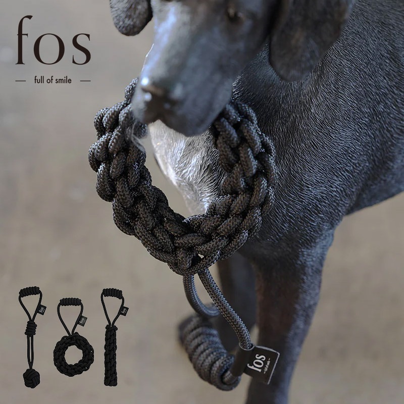 fos ���եȥ�