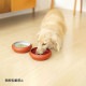 OPPO ���å� TokoBowl for Food �ȥ��ܥ��롦�ե����ա��� S 7off