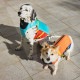 MANDARINE BROTHERS �ޥ�����֥饶���� �ե����ƥ��󥰥��㥱�åȡ�L��XL��XXL
