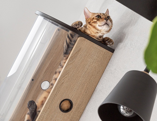 MYZOO �ޥ����� Tunnel