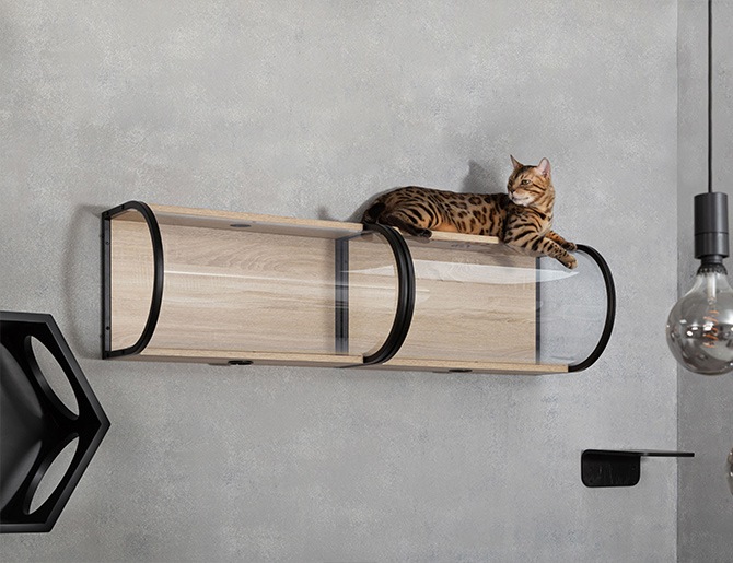 MYZOO �ޥ����� Tunnel