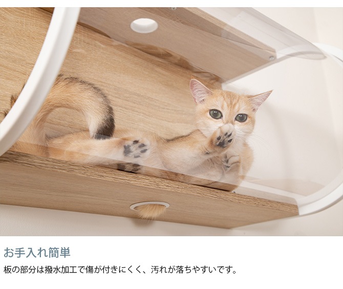 MYZOO �ޥ����� Tunnel