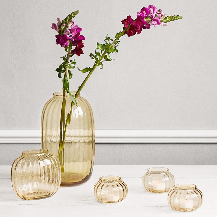 �����ɥ�ۥ���� ���饹 �̲� �ۥ�६���� Primula �ƥ����饤�ȥۥ����  �̲�����ƥꥢ ������� ���� ���� ����ƥꥢ���� ���� ����