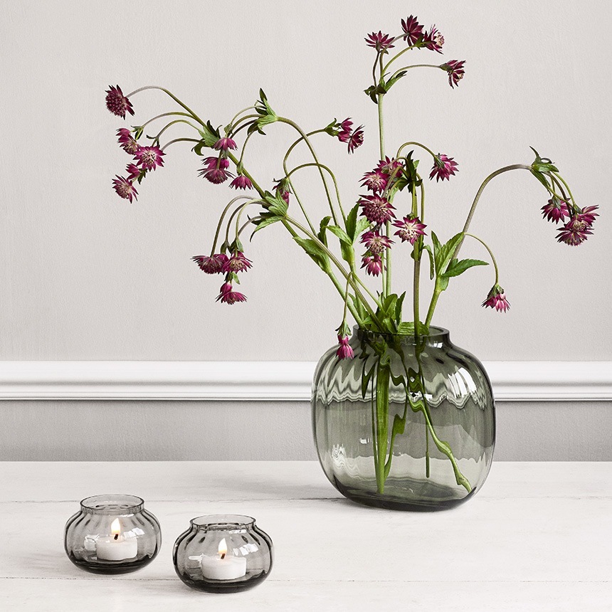 �����ɥ�ۥ���� ���饹 �̲� �ۥ�६���� Primula �ƥ����饤�ȥۥ����  �̲�����ƥꥢ ������� ���� ���� ����ƥꥢ���� ���� ����