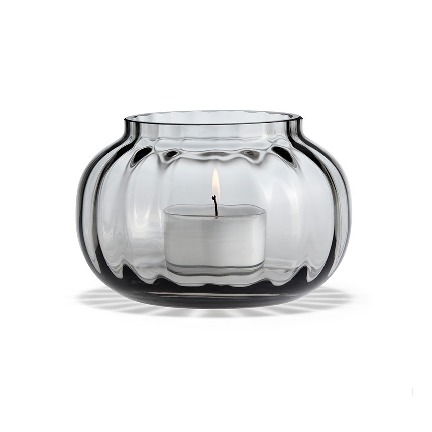 �����ɥ�ۥ���� ���饹 �̲� �ۥ�६���� Primula �ƥ����饤�ȥۥ����  �̲�����ƥꥢ ������� ���� ���� ����ƥꥢ���� ���� ����