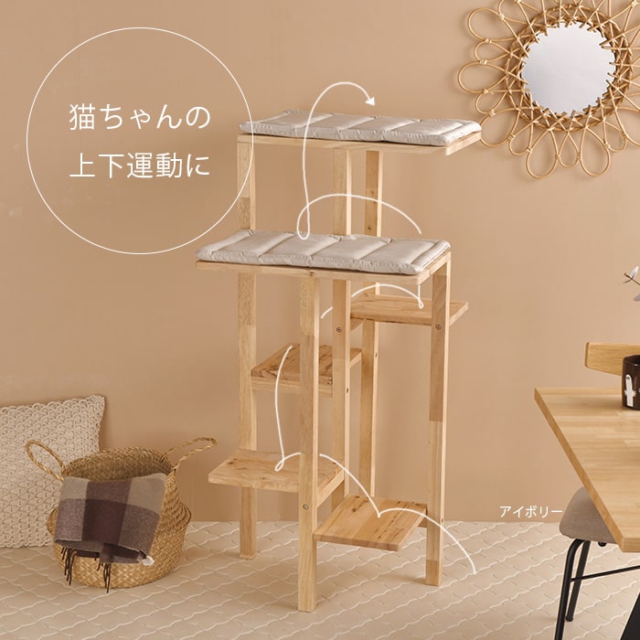 NATURAL SIGNATURE ʥ륷ͥ㡼 Cut-hus ȥϥ åȥ