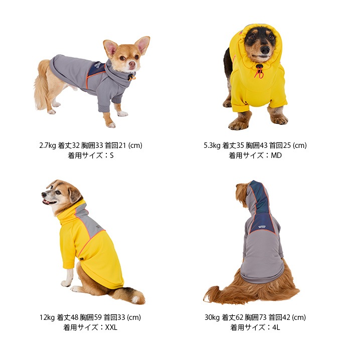 MANDARINE BROTHERS �ޥ�����֥饶���� �쥤��ץ롼�եץ륪���С���XL��XXL