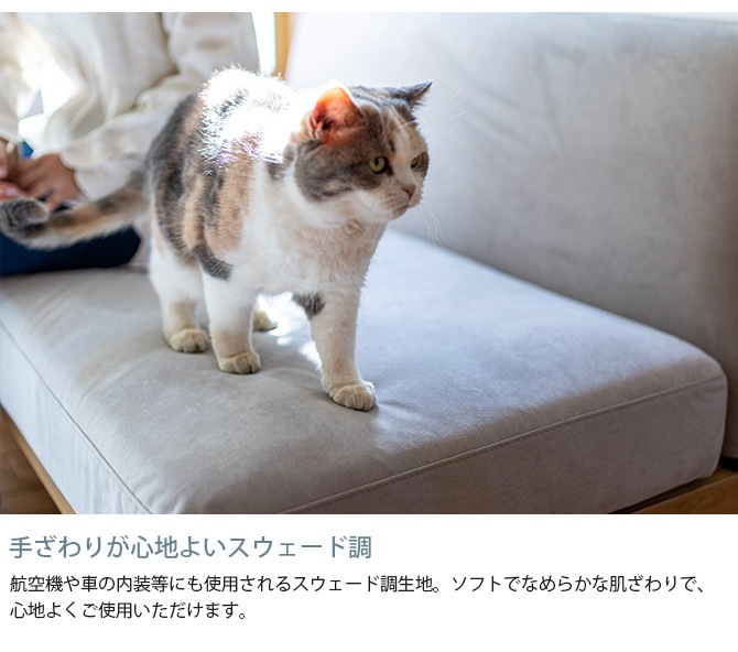 Fumi �ե� ��������ʤ����ե� �ڥå��б��Ǻ�