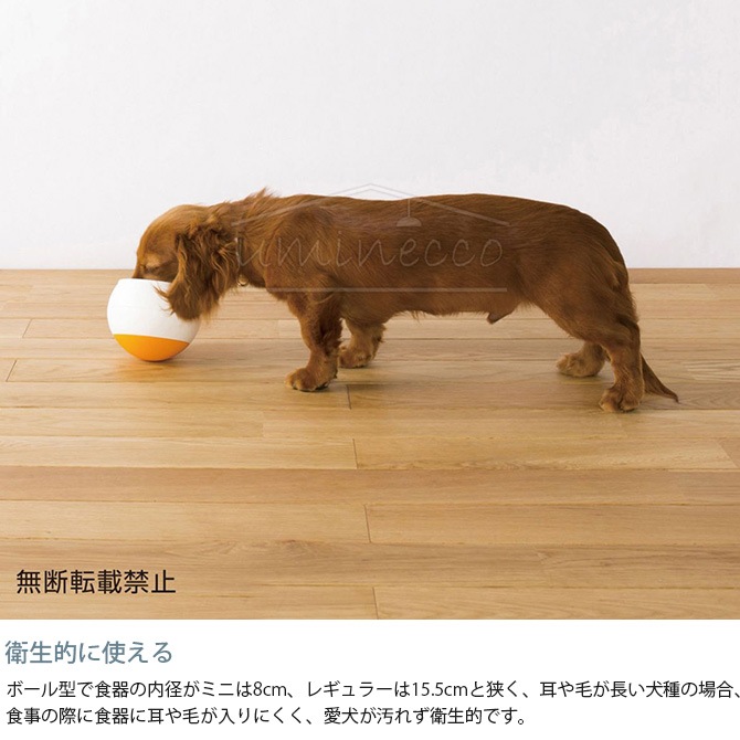 OPPO ���å� FoodBall �ա��ɥܡ��� �ߥ� 7off