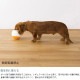 OPPO ���å� FoodBall �ա��ɥܡ��� �ߥ� 7off