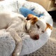 TALL TAILS �ȡ��� �ƥ��륺 �ɥ꡼����������� �٥å� S