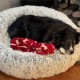 TALL TAILS �ȡ��� �ƥ��륺 �ɥ꡼����������� �٥å� S