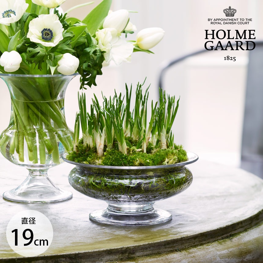 ���饹���� ��̺��� �ۥ�६���� Old English �ե��ܥ��� ľ��19cm  ���� �̲� ����ƥꥢ �ե��١��� ���� ����ץ� �������