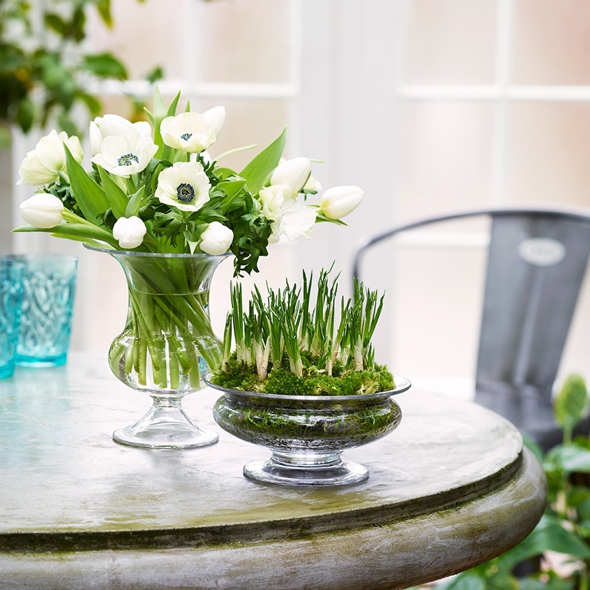 ���饹���� ��̺��� �ۥ�६���� Old English �ե��ܥ��� ľ��19cm  ���� �̲� ����ƥꥢ �ե��١��� ���� ����ץ� �������