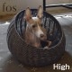 fos ���ɥ꡼�٥å� High