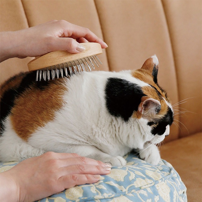 PET �֥饷 ���������å� STEEL PINS
