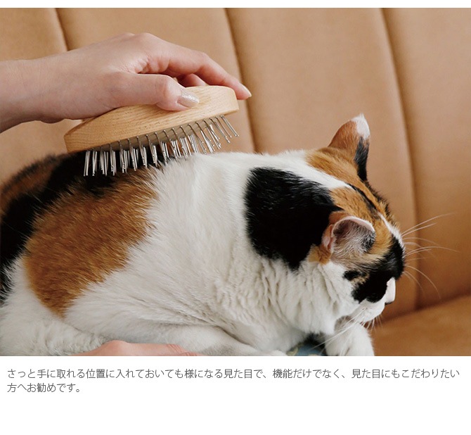 PET �֥饷 ���������å� STEEL PINS