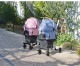 AIRBUGGY Х FITT WIZ X å ڥåȥ