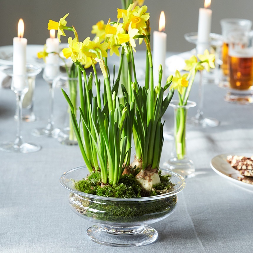 ���饹���� ��̺��� �ۥ�६���� Old English �ե��ܥ��� ľ��25cm  ���� �̲� ����ƥꥢ �ե��١��� ���� ����ץ� �������