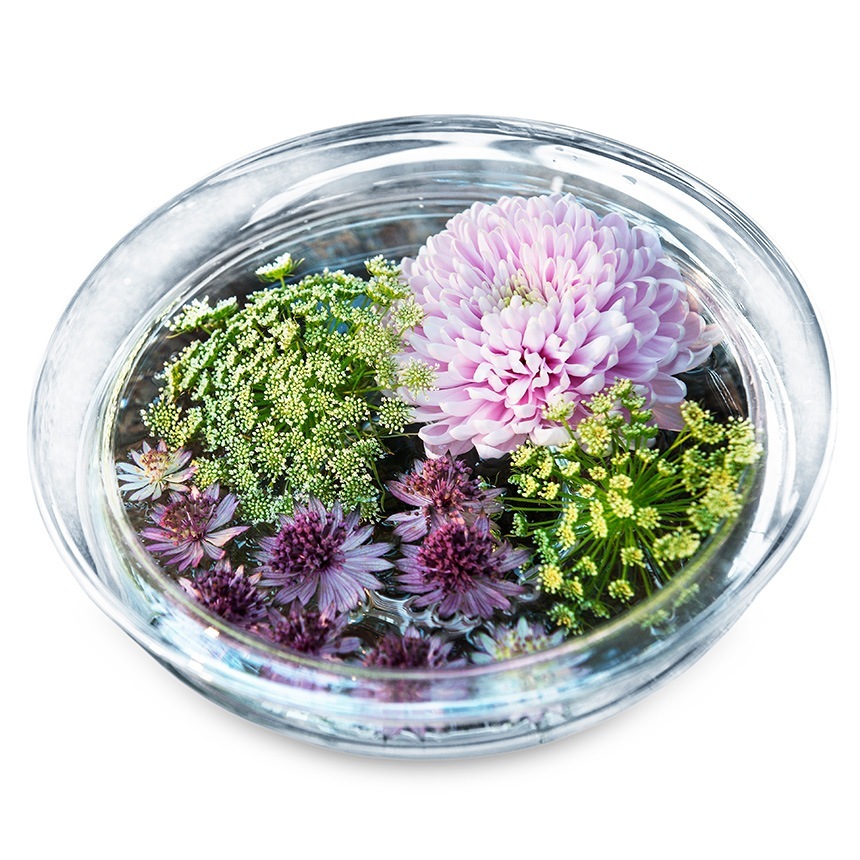 ���饹���� ��̺��� �ۥ�६���� Old English �ե��ܥ��� ľ��25cm  ���� �̲� ����ƥꥢ �ե��١��� ���� ����ץ� �������