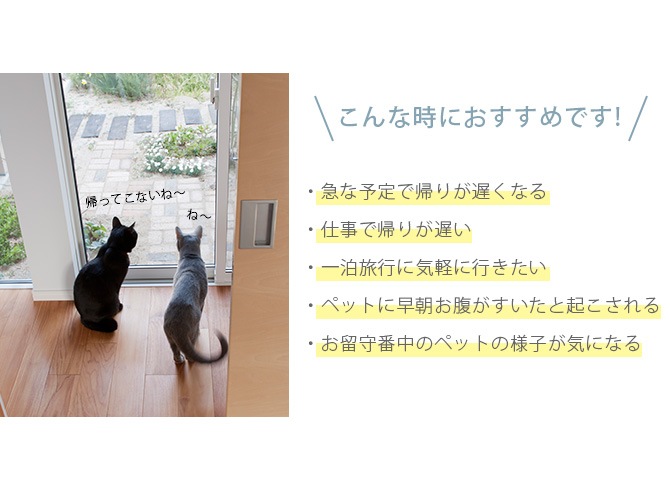 MARUKAN �ޥ륫�� �ڥå��ѥ����ȥե��������������