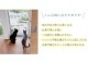 MARUKAN �ޥ륫�� �ڥå��ѥ����ȥե��������������