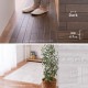 �������륹�����ݡ��ɥ��ӵ�ǽ�դ����忡���Ǥ��륯�å����ե��� 45��240cm