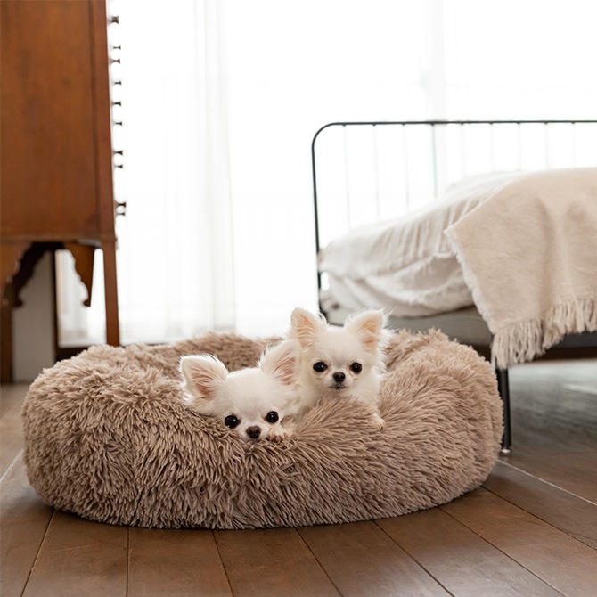 TALL TAILS �ȡ��� �ƥ��륺 �ɥ꡼����������� �٥å� XL