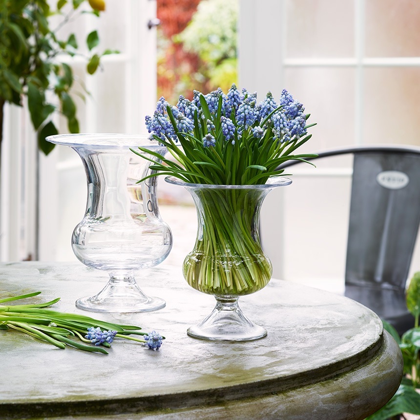 ���饹���� Ʃ�� �ۥ�६���� Old English �١��� �⤵19cm  ���� �̲� ����ƥꥢ �ե��١��� ���� ����ץ� �������