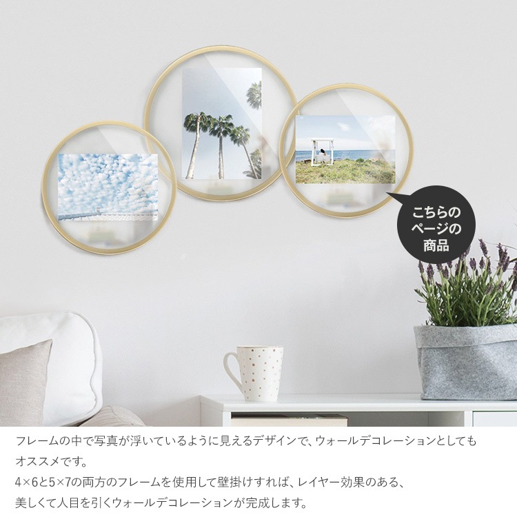 Umbra ֥ ե˥ƥ եȥǥץ쥤 46