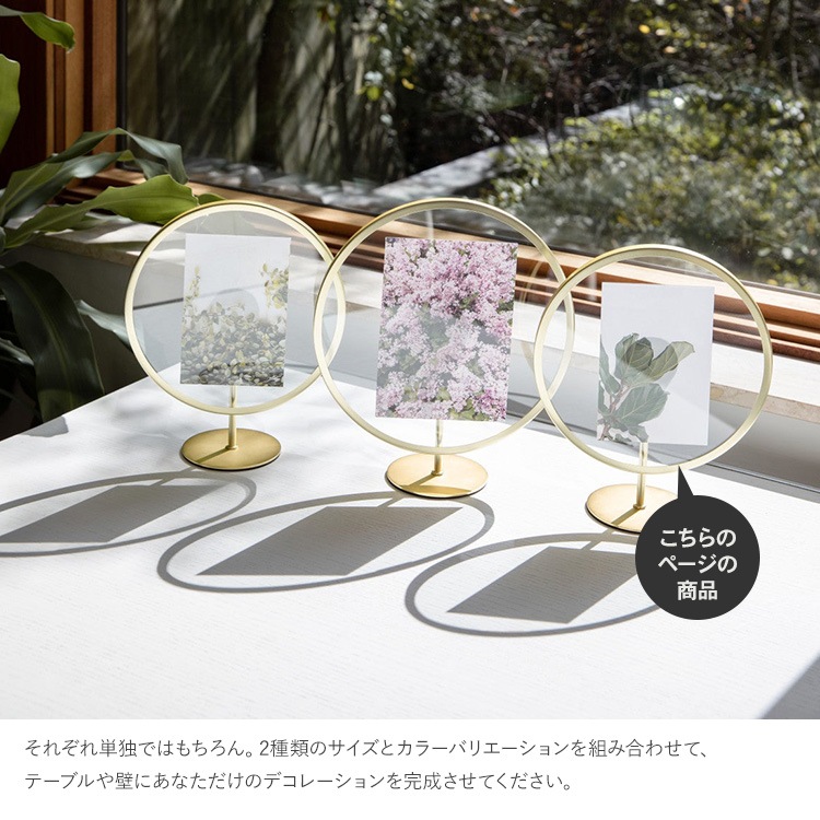 Umbra ֥ ե˥ƥ եȥǥץ쥤 46