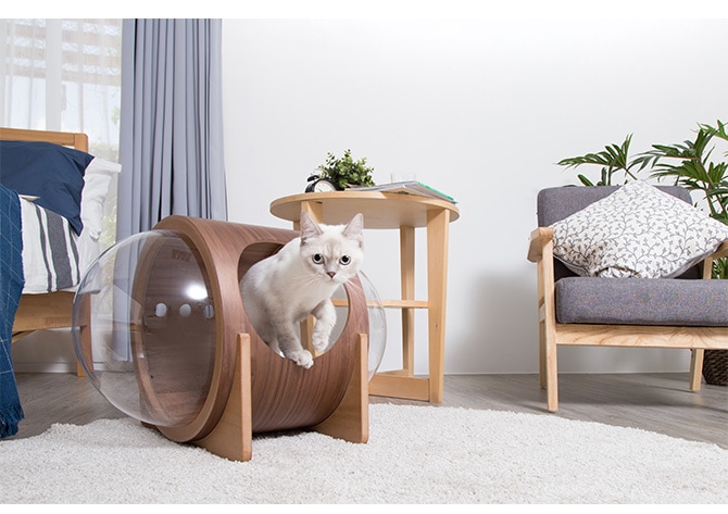 MYZOO �ޥ����� Spaceship Alpha Wood ������ ����ե� ���å�