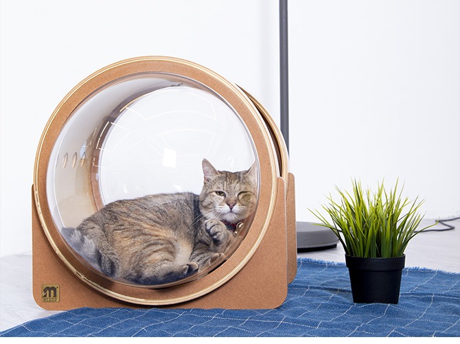 MYZOO �ޥ����� Spaceship Alpha Wood ������ ����ե� ���å�