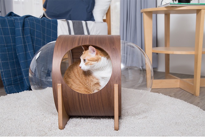 MYZOO �ޥ����� Spaceship Alpha Wood ������ ����ե� ���å�