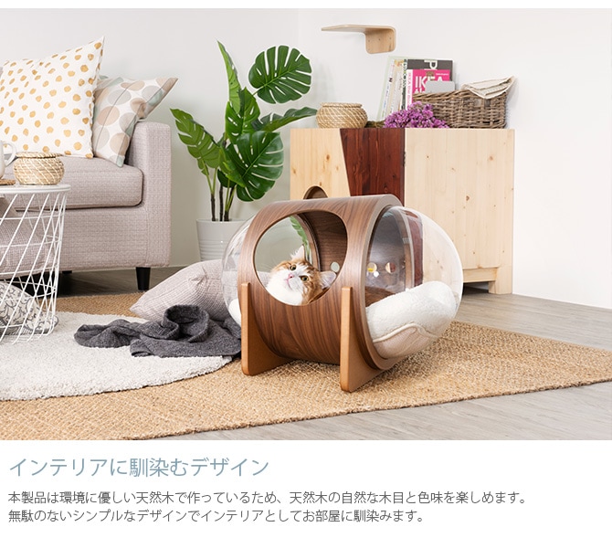 MYZOO �ޥ����� Spaceship Alpha Wood ������ ����ե� ���å�