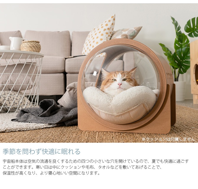 MYZOO �ޥ����� Spaceship Alpha Wood ������ ����ե� ���å�