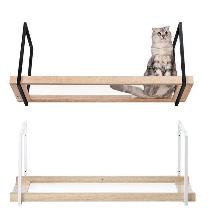 MYZOO �ޥ����� AVENUE 100cm ���ꥢ