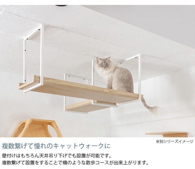 MYZOO �ޥ����� AVENUE 100cm ���ꥢ