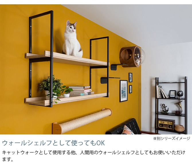 MYZOO �ޥ����� AVENUE 100cm ���ꥢ