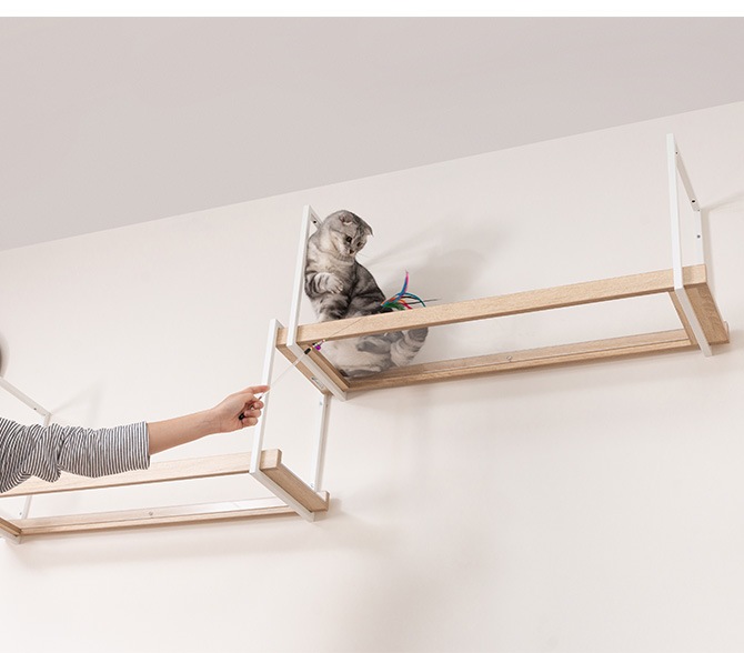 MYZOO �ޥ����� AVENUE 100cm ���ꥢ