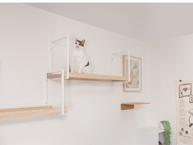 MYZOO �ޥ����� AVENUE 100cm ���ꥢ