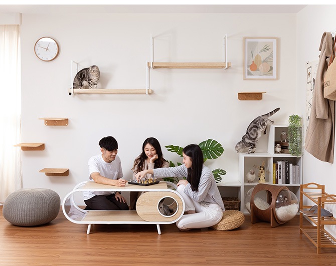 MYZOO �ޥ����� AVENUE 100cm ���ꥢ