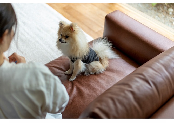 Fumi �ե� ���󥻥�Ȥ��դ������ե� �ڥå��б��Ǻ� ���ѥ��С� �����������