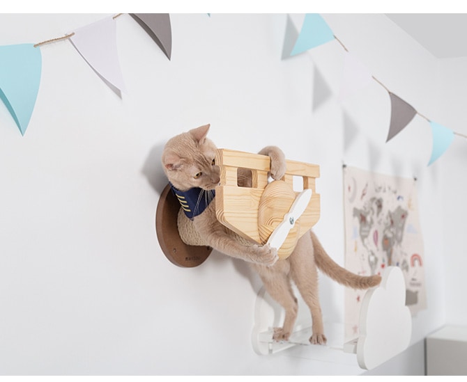 MYZOO �ޥ����� ����åȥ��ƥå� �ޤȤ� Plane