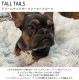 TALL TAILS �ȡ��� �ƥ��륺 �ɥ꡼����������� �����������ץ롼��
