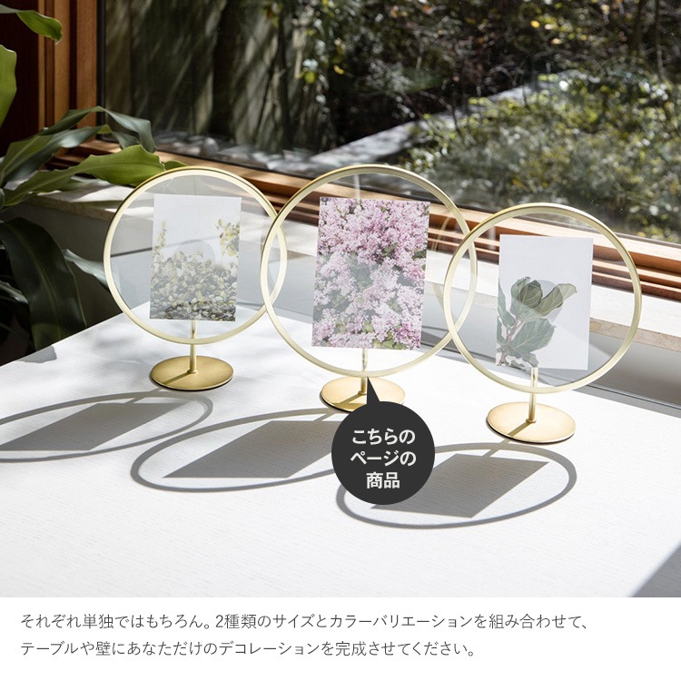 Umbra ֥ ե˥ƥ եȥǥץ쥤 57