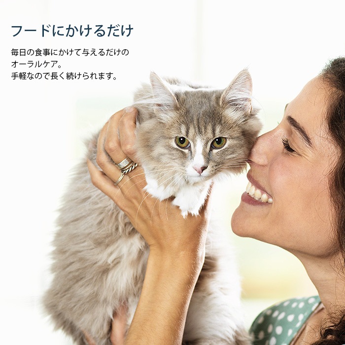 �ץ��ǥ� �ǥ󥿥륱�����ѥ�������ǭ�ѡ�40g